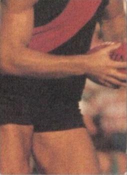 1985 Scanlens VFL #97 Michael McCarthy Back